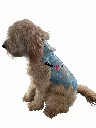 JANOO - pic B high rez with logo.webp