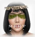 MERT - final image.webp
