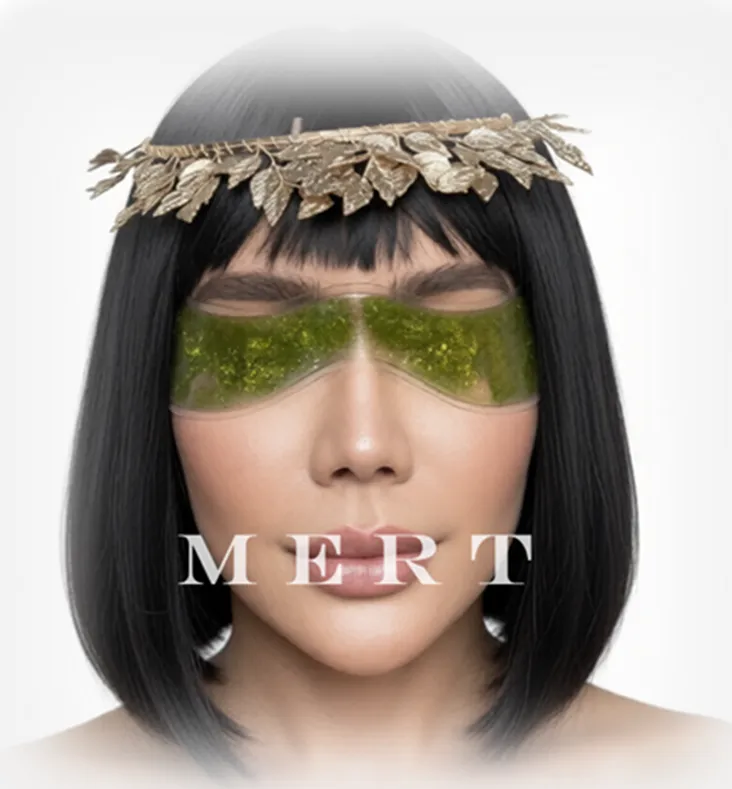 MERT - final image.webp
