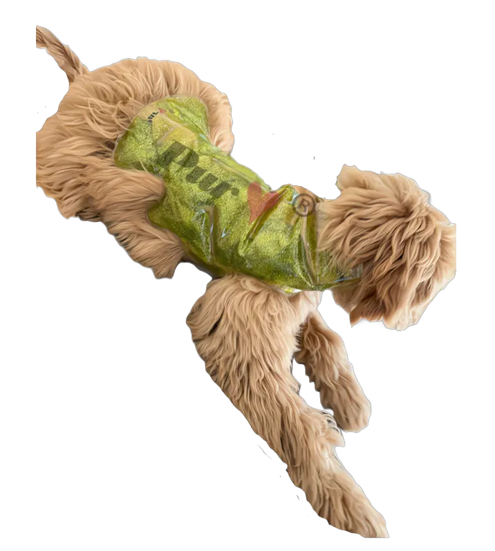 Janoo (Emeral Green, XS)