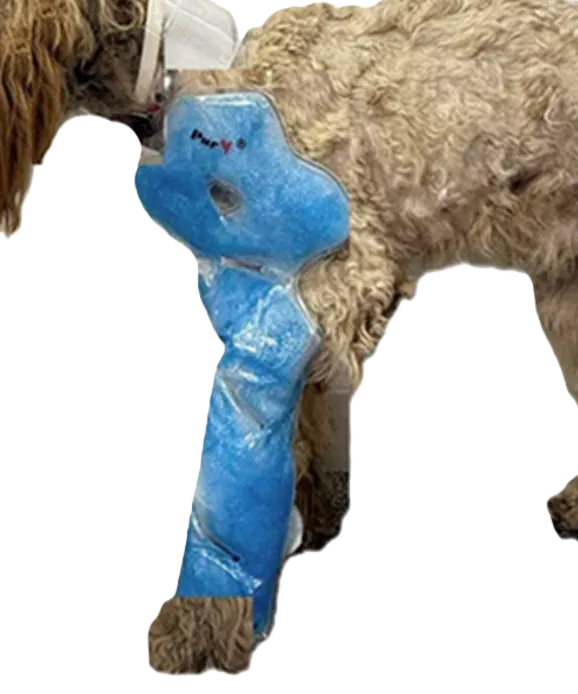 KATAF (Avail. Summer 2027)